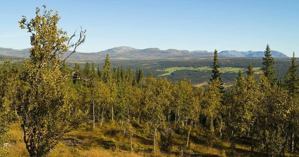 Liatoppen Fjellhotell Al Ngoại thất bức ảnh